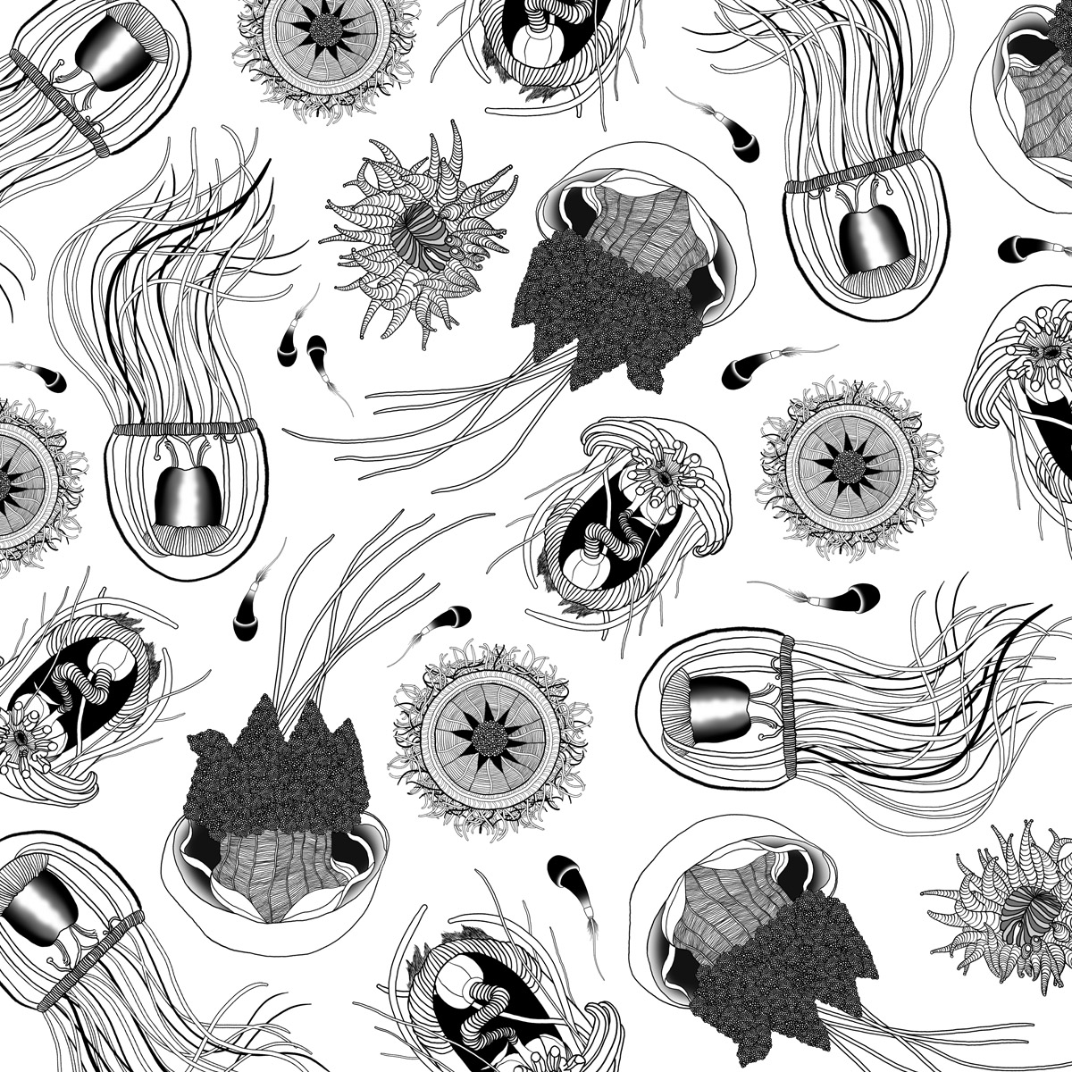 NorthFace RichTu 01.